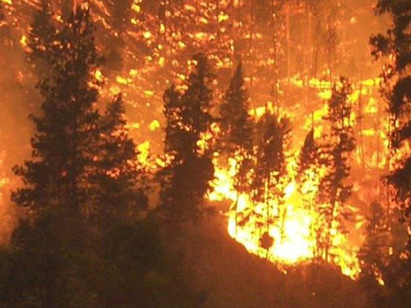 Wanneer de bossen in brand dreigen te vliegen...